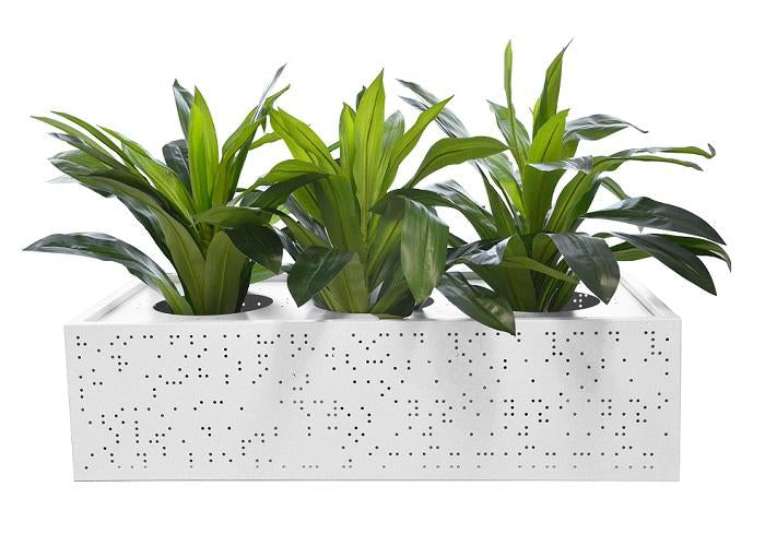 Lunar Planter Box