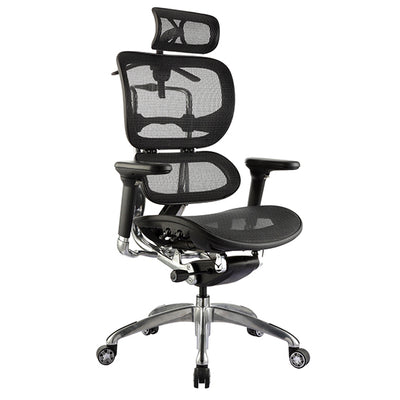 Ergo1 Mesh Office Chair