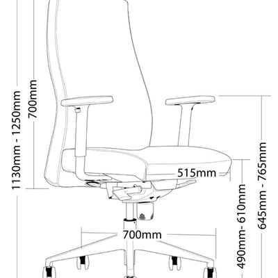 VENUS High Back Office Armchair