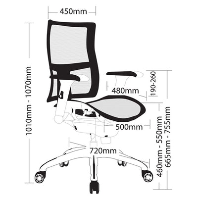 ZODIAC Mesh Low Back Office Armchair