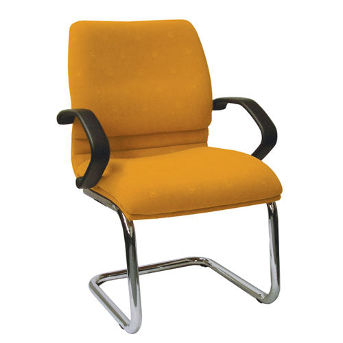 Elissa Executive Cantilever Chair