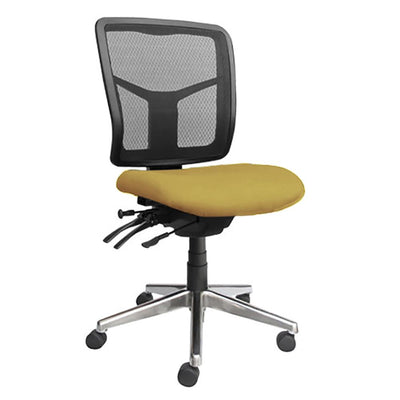 Tran Mesh Back Office Chair