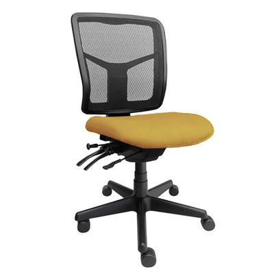 Tran Mesh Back Office Chair